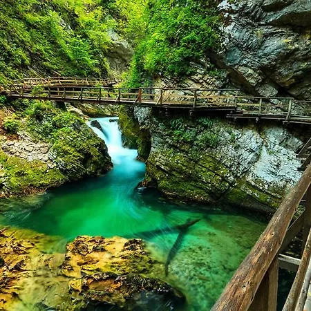 Tisa, Bled